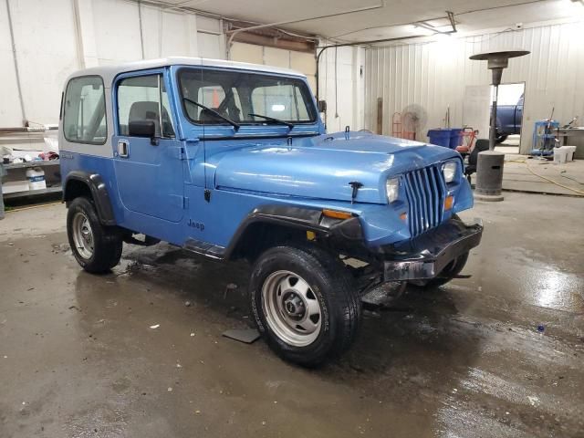 1989 Jeep Wrangler / YJ