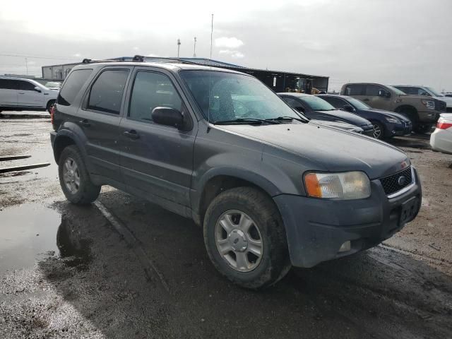 2002 Ford Escape XLT