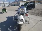 2001 Harley-Davidson Flstci