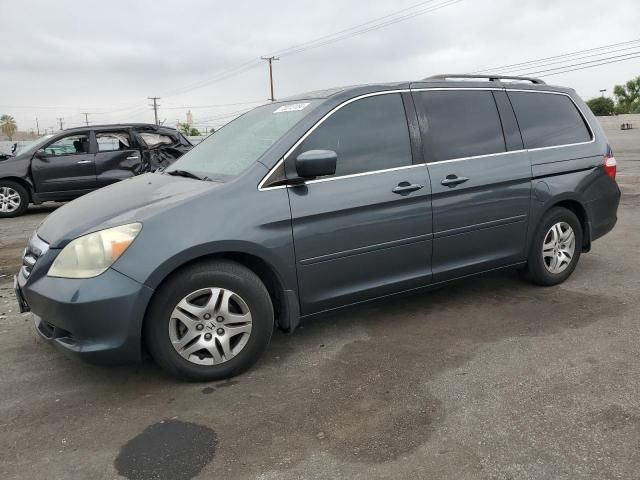 2005 Honda Odyssey EXL