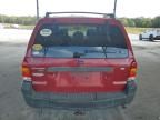 2005 Ford Escape XLT