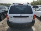 2007 Ford Escape XLT