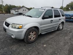 Salvage cars for sale at York Haven, PA auction: 2007 Ford Escape XLT