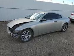 Salvage cars for sale at Nisku, AB auction: 2003 Infiniti G35