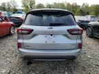 2023 Ford Escape ST Line Select