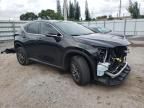 2024 Lexus NX 250 Premium