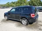 2010 Ford Escape Limited