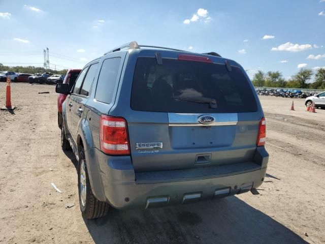 2010 Ford Escape Limited