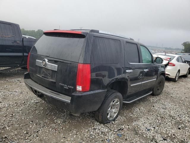 2008 Cadillac Escalade Luxury