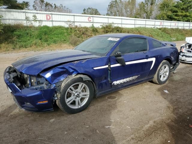 2013 Ford Mustang