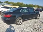 2007 Lexus LS 460