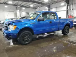 Salvage cars for sale at Ham Lake, MN auction: 2013 Ford F150 Super Cab