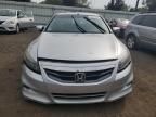 2011 Honda Accord EX