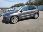 2013 Volkswagen Tiguan S