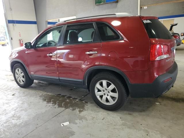 2011 KIA Sorento Base