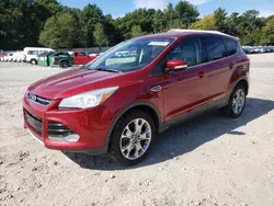 Salvage cars for sale at Mendon, MA auction: 2013 Ford Escape SEL