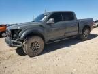 2018 Ford F150 Raptor