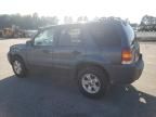 2005 Ford Escape XLT