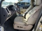 2010 Lincoln MKX