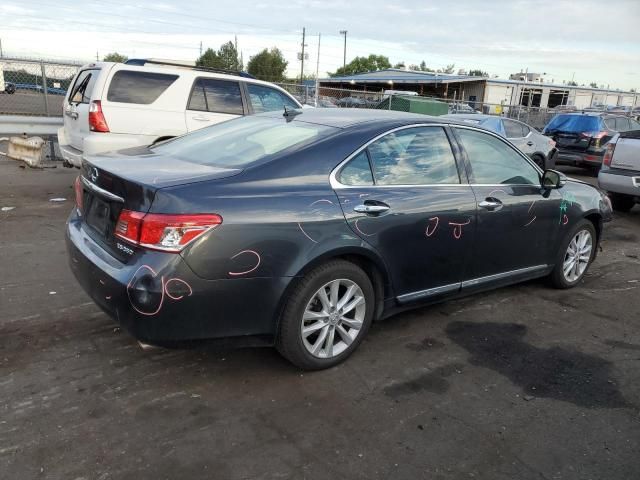 2010 Lexus ES 350