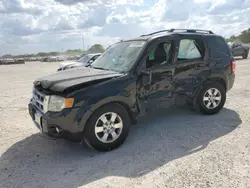 2011 Ford Escape Limited en venta en San Antonio, TX