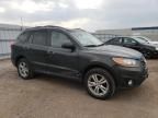 2010 Hyundai Santa FE SE