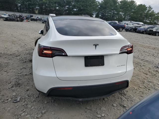 2020 Tesla Model Y