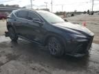 2025 Lexus NX 350H Base