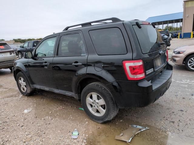 2010 Ford Escape XLT