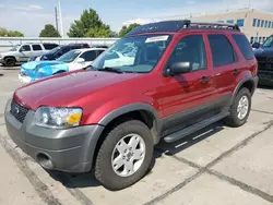 Salvage cars for sale at Littleton, CO auction: 2005 Ford Escape XLT