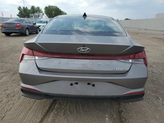 2023 Hyundai Elantra Blue