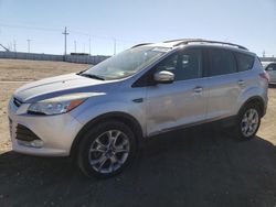 Ford Escape SEL salvage cars for sale: 2013 Ford Escape SEL