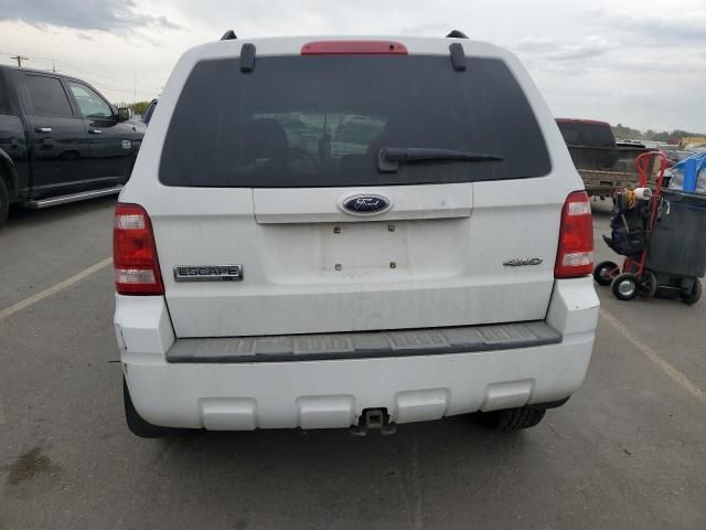 2008 Ford Escape XLT