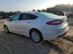 2013 Ford Fusion SE Hybrid