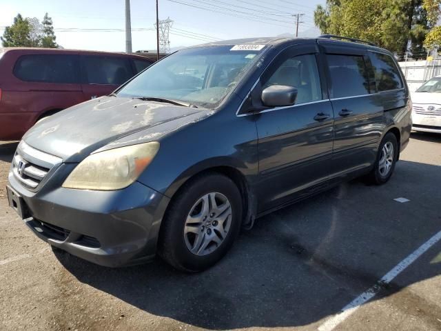 2006 Honda Odyssey EX