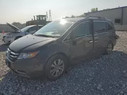 Honda salvage cars for sale: 2014 Honda Odyssey EXL