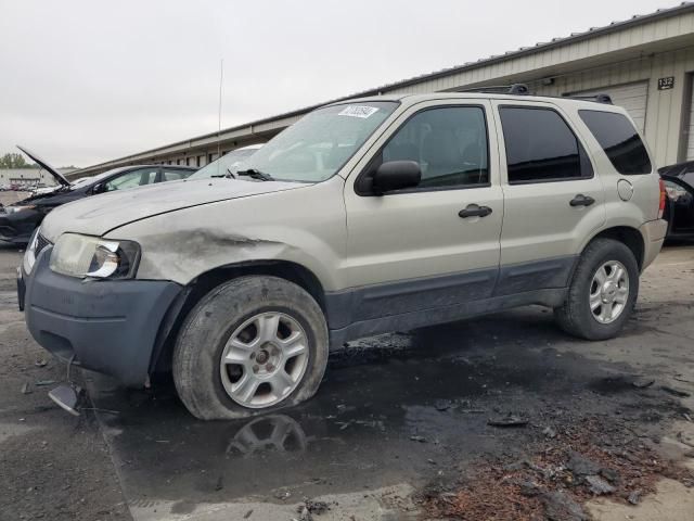 2003 Ford Escape XLT