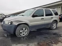 Ford Vehiculos salvage en venta: 2003 Ford Escape XLT