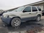 2003 Ford Escape XLT