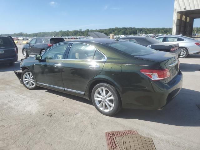 2010 Lexus ES 350