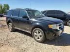 2008 Ford Escape Limited