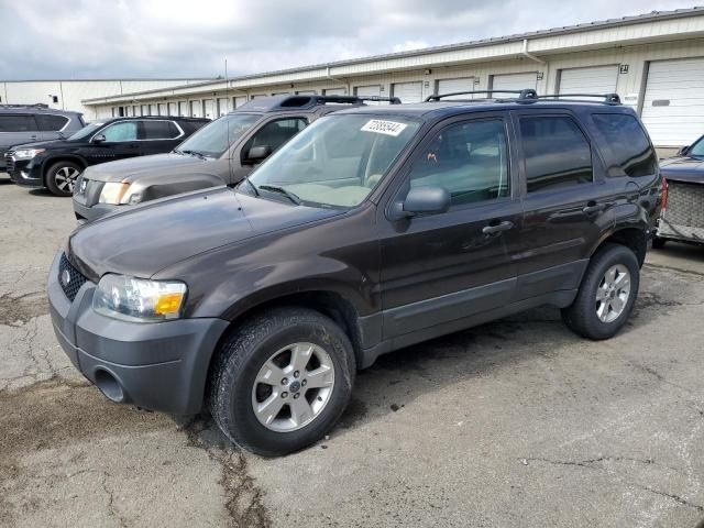 2006 Ford Escape XLT