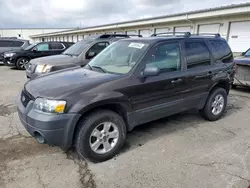 Salvage cars for sale at Louisville, KY auction: 2006 Ford Escape XLT