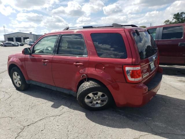 2011 Ford Escape Limited