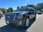 2016 Cadillac Escalade ESV Platinum