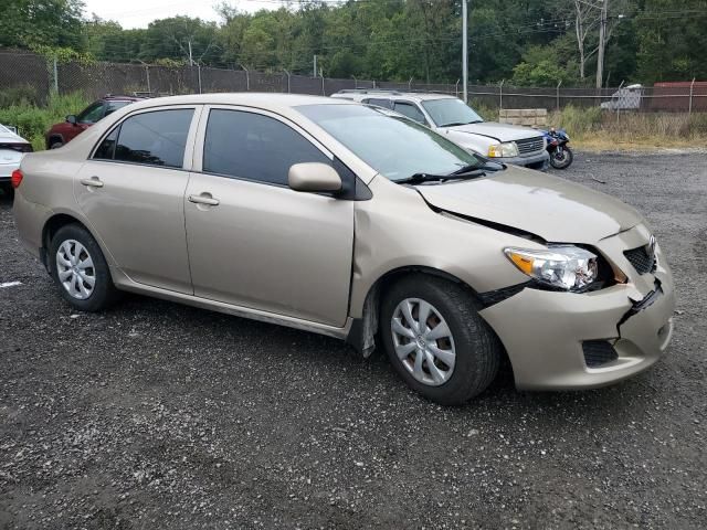 2009 Toyota Corolla Base