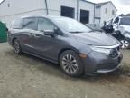 2021 Honda Odyssey EXL