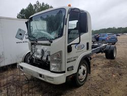 Salvage trucks for sale at Sandston, VA auction: 2019 Isuzu NPR HD