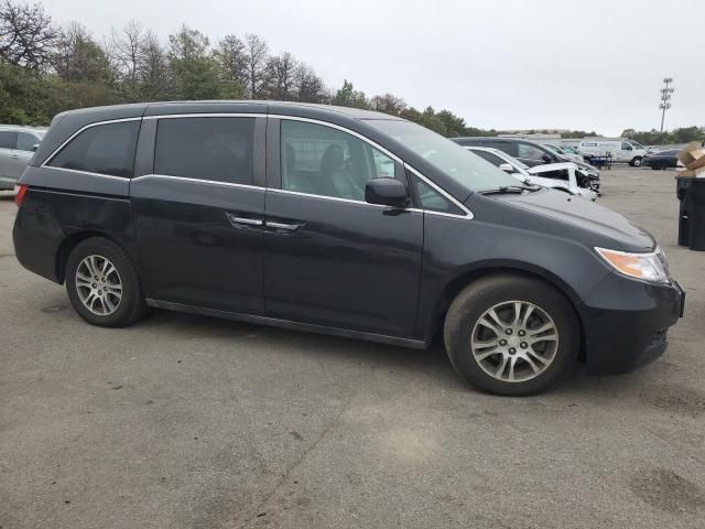 2011 Honda Odyssey EXL