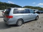 2009 Honda Odyssey EXL